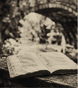 Book under bridge
